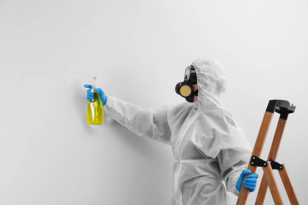 Forensic Mold Investigation in National City, CA